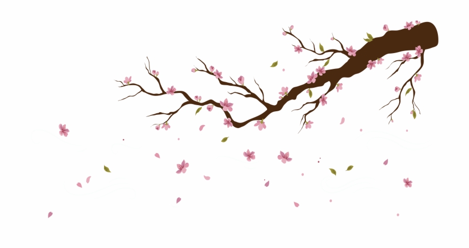 Cherry Blossom Petals Falling Png Twig