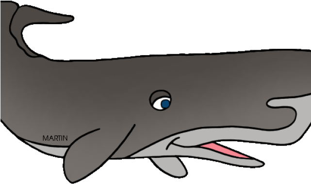 Sperm Whale Clipart Immense Grey Whale