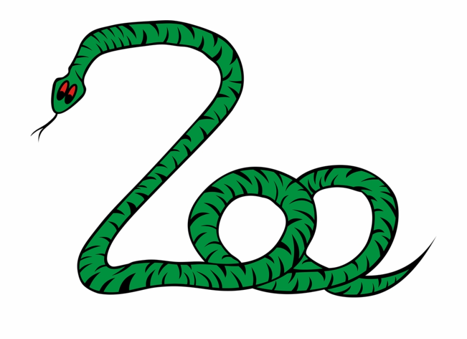 Clip Arts Related To : Snake Green anaconda Clip art - Serpent Pictures png...