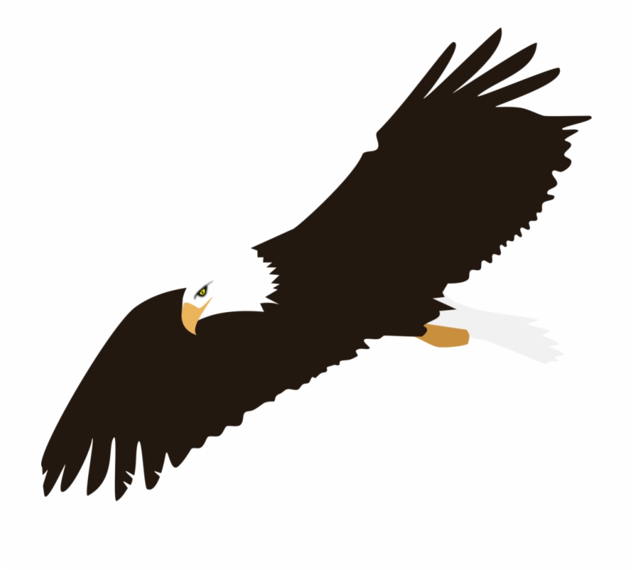 Soaring Bald Eagle Vector Clipart Clip Art Eagle