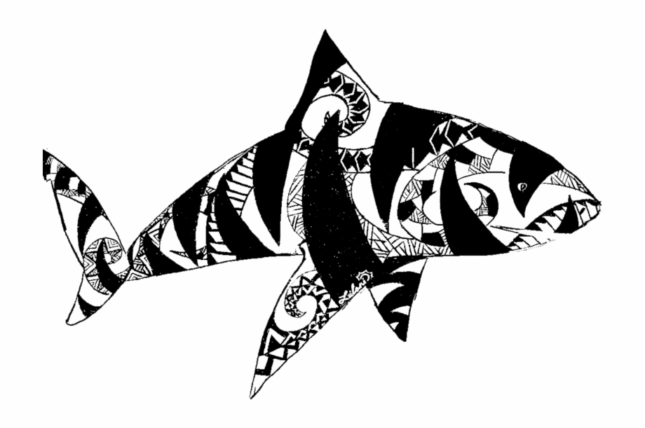 Tiger Shark One Ocean Illustration