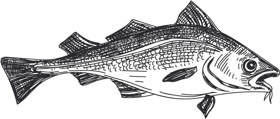 Pescado Blanco Striper Bass