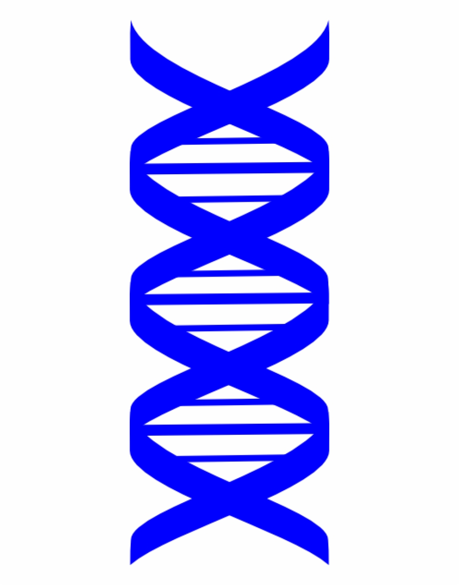 Dna Png Download Png Image With Transparent Background