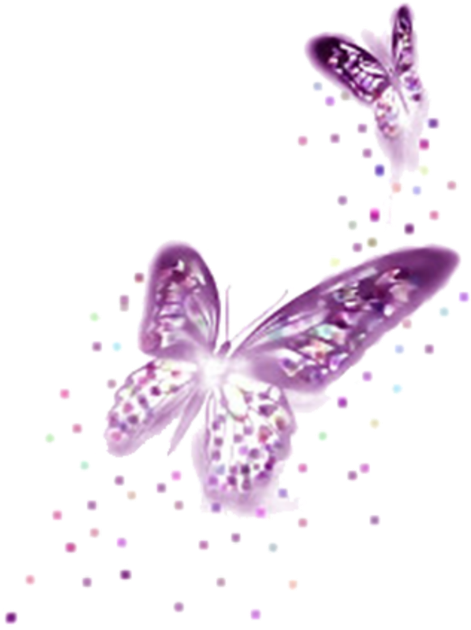 transparent butterfly border png
