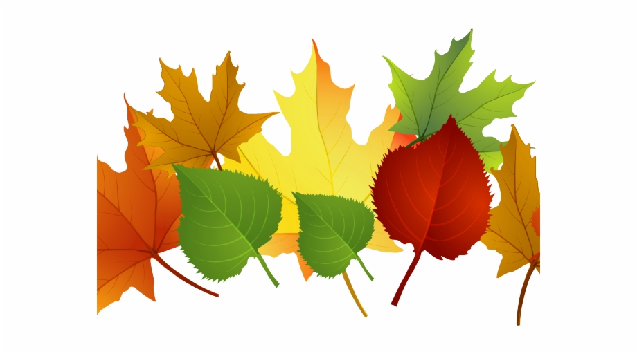 Fall Leaves Clip Art Png