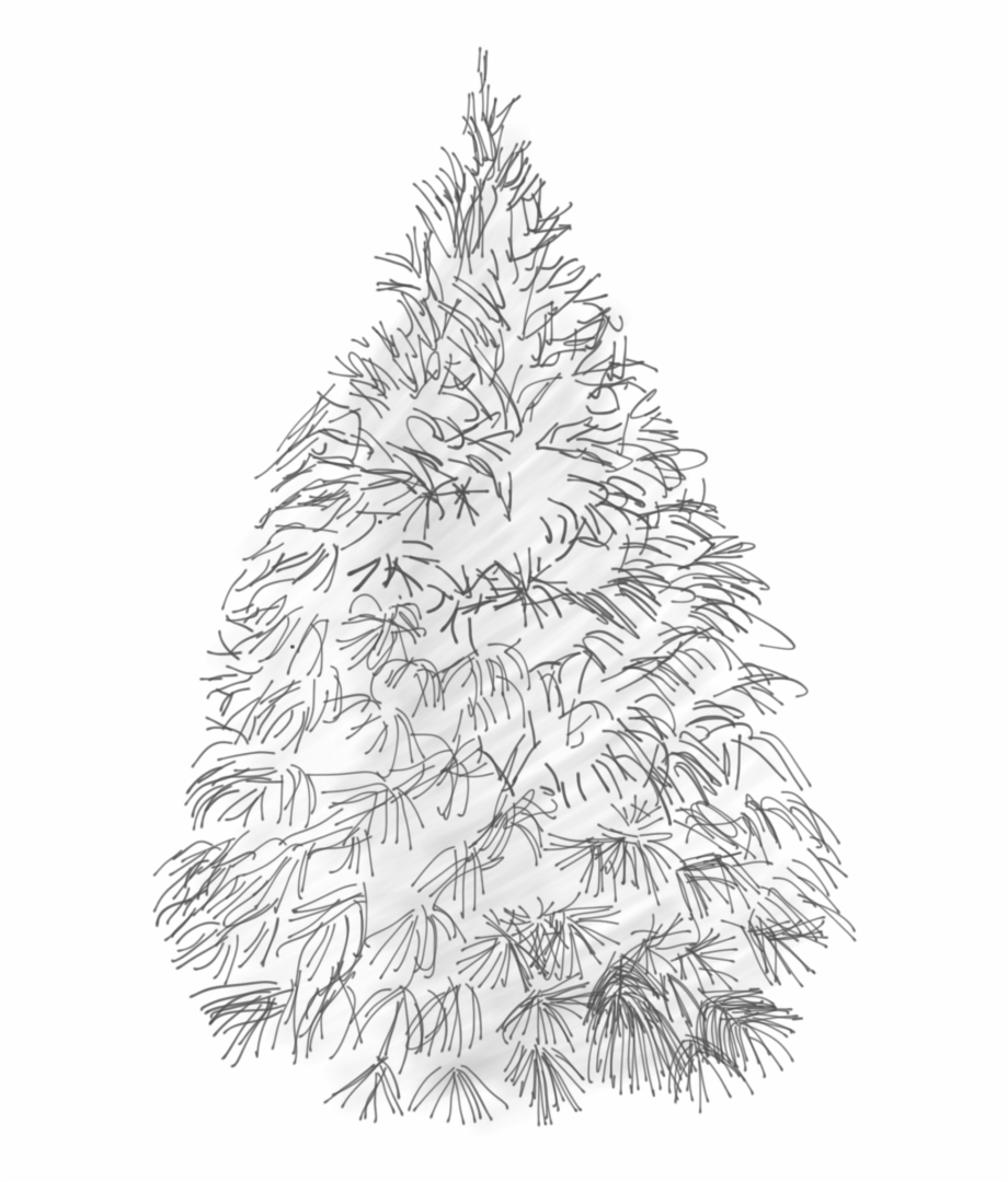 White Pine Sketch Christmas Tree