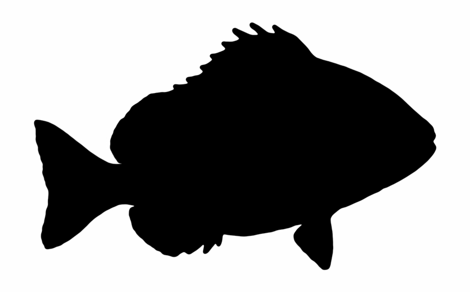 Peces Vector Png Farm Animal Silhouette Heads