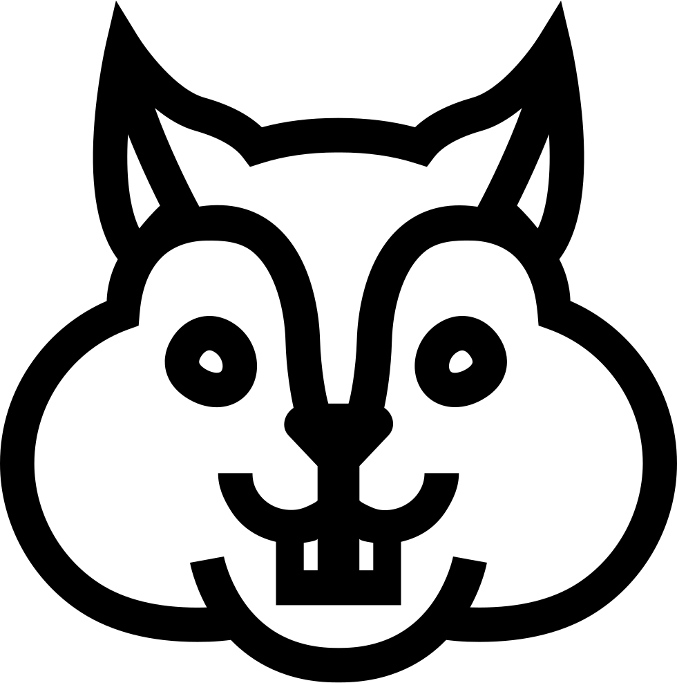 Png File Squirrel Face Drawing Easy