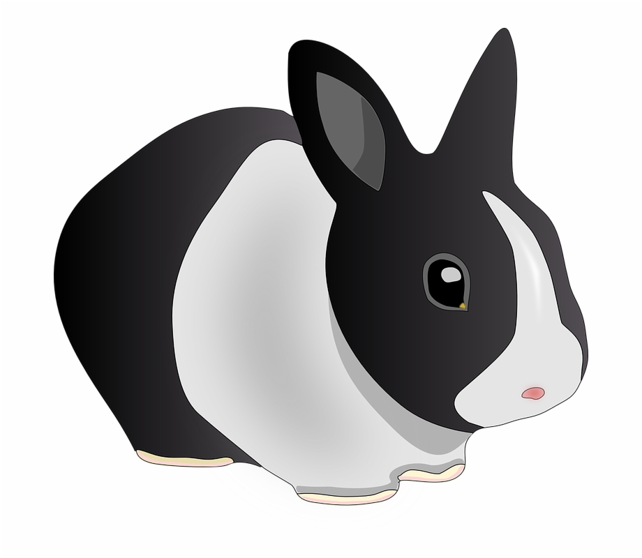 Animal Black And White Free Vector Graphic Free