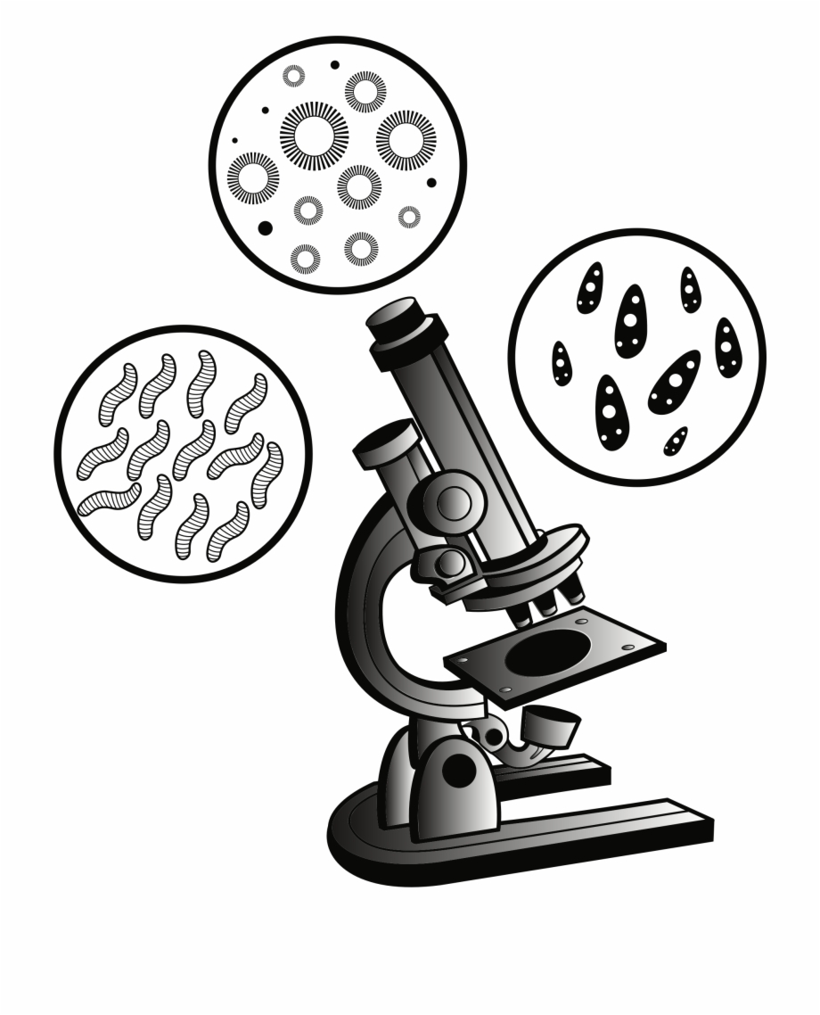 Microscope Virus Clip Art Microscope Clipart