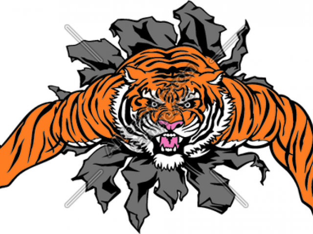 Bengals Logo Png