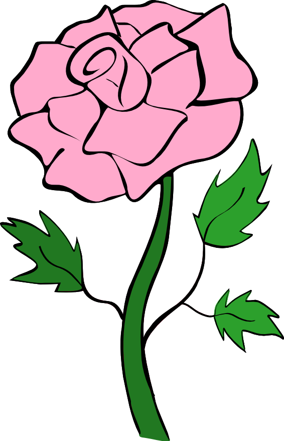 Roses Pink Rose Noelle Nichols Free Download Png