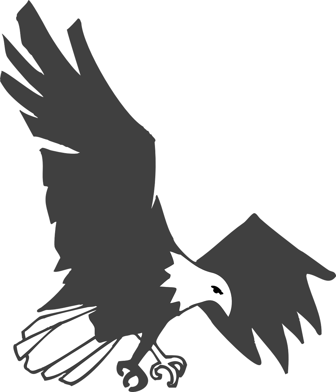 Eagle Black White Bird Flying Png Image Gambar
