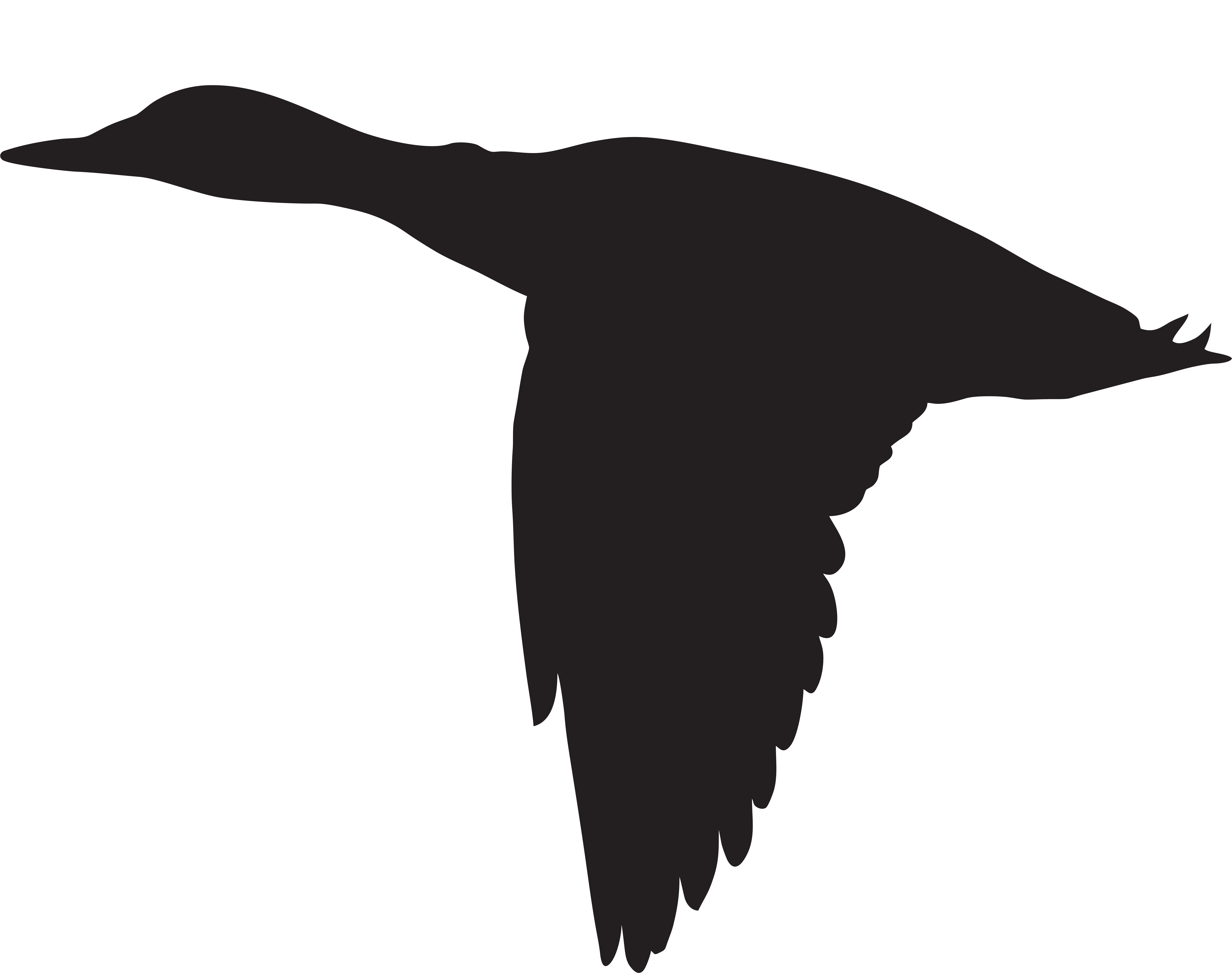 Duck Flying Silhouette Png Clip Art Image 