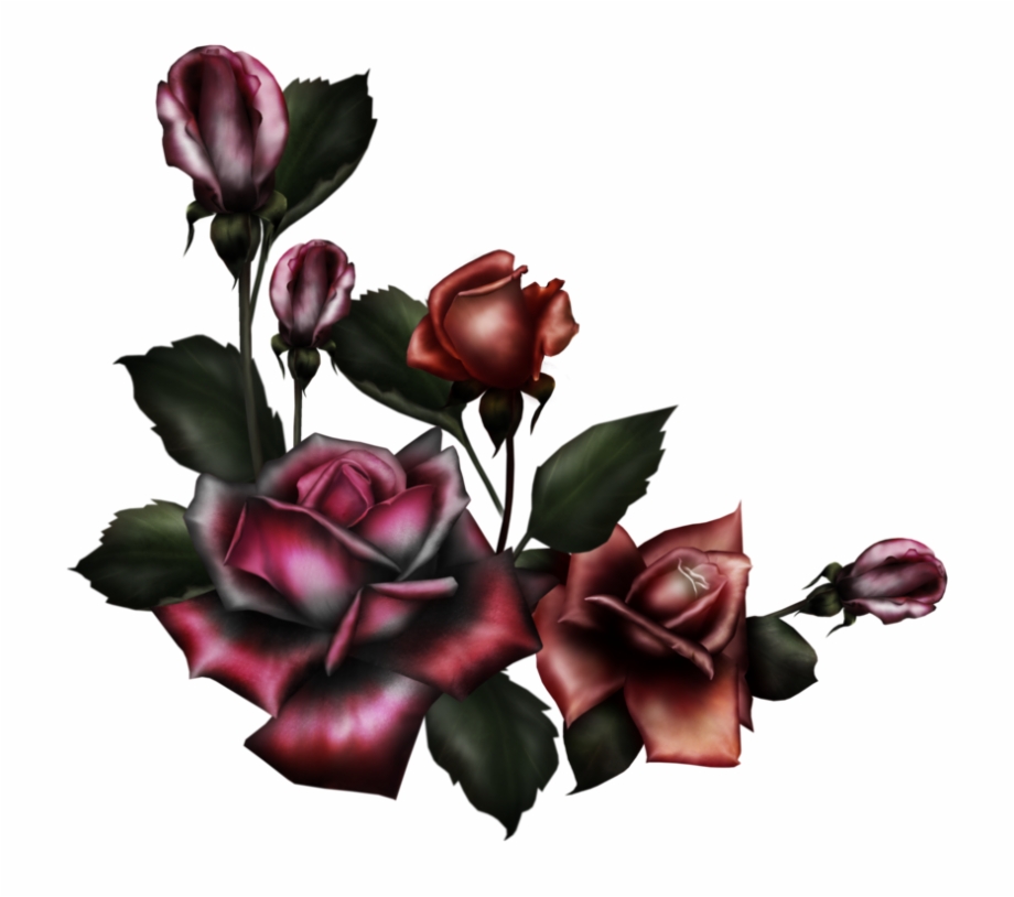 Roses Creepy Cute Dead Sticker Freetoedit Gothic Rose