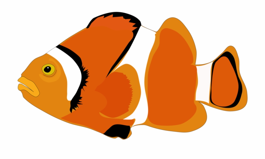 Clownfish Cartoon Computer Icons Ocean Fish Clipart