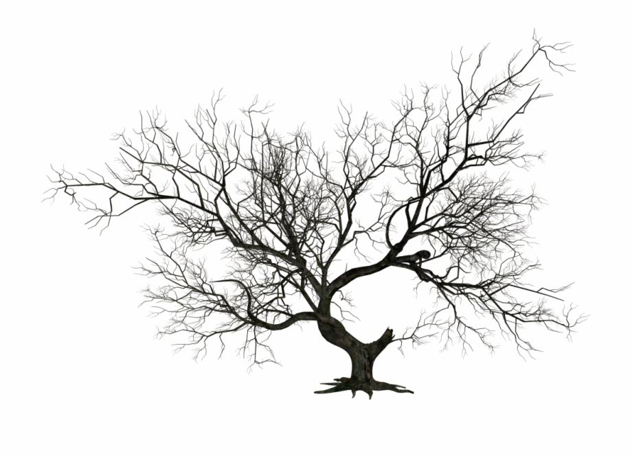 Share This Image Dead Tree Png Png
