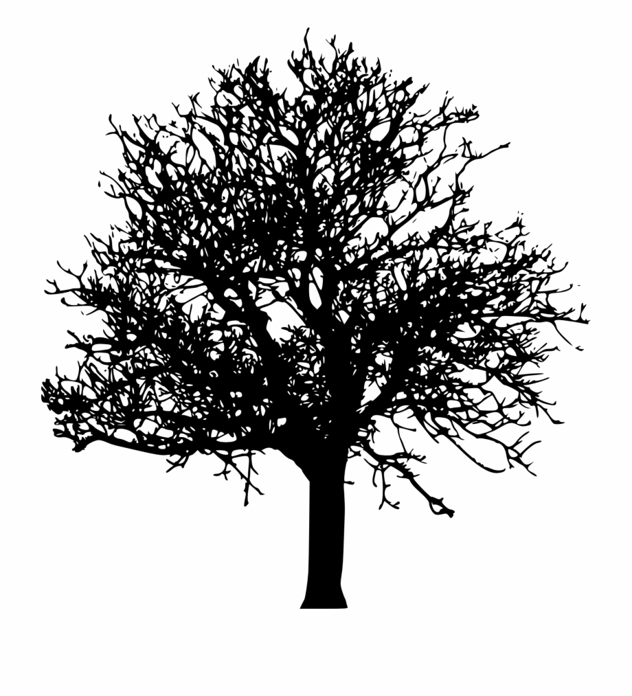 silhouette transparent background tree clipart
