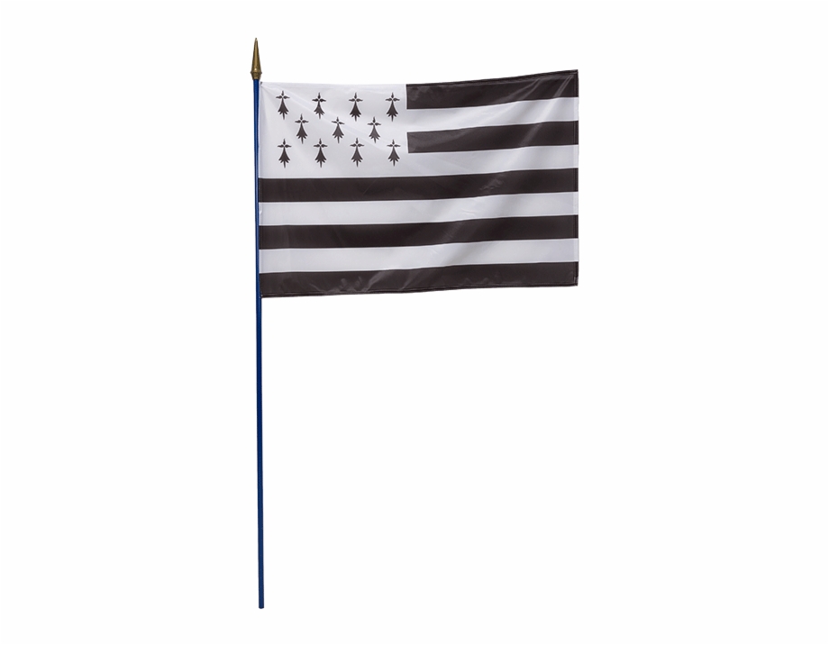 flag of the united states
