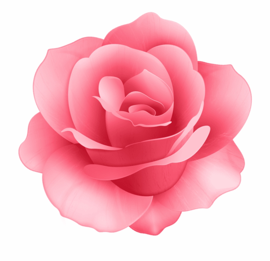 Free Png Download Rose Flower Png Images Background