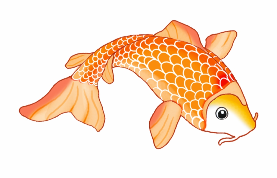 Colorful Koi Fish Koi Fish Clipart