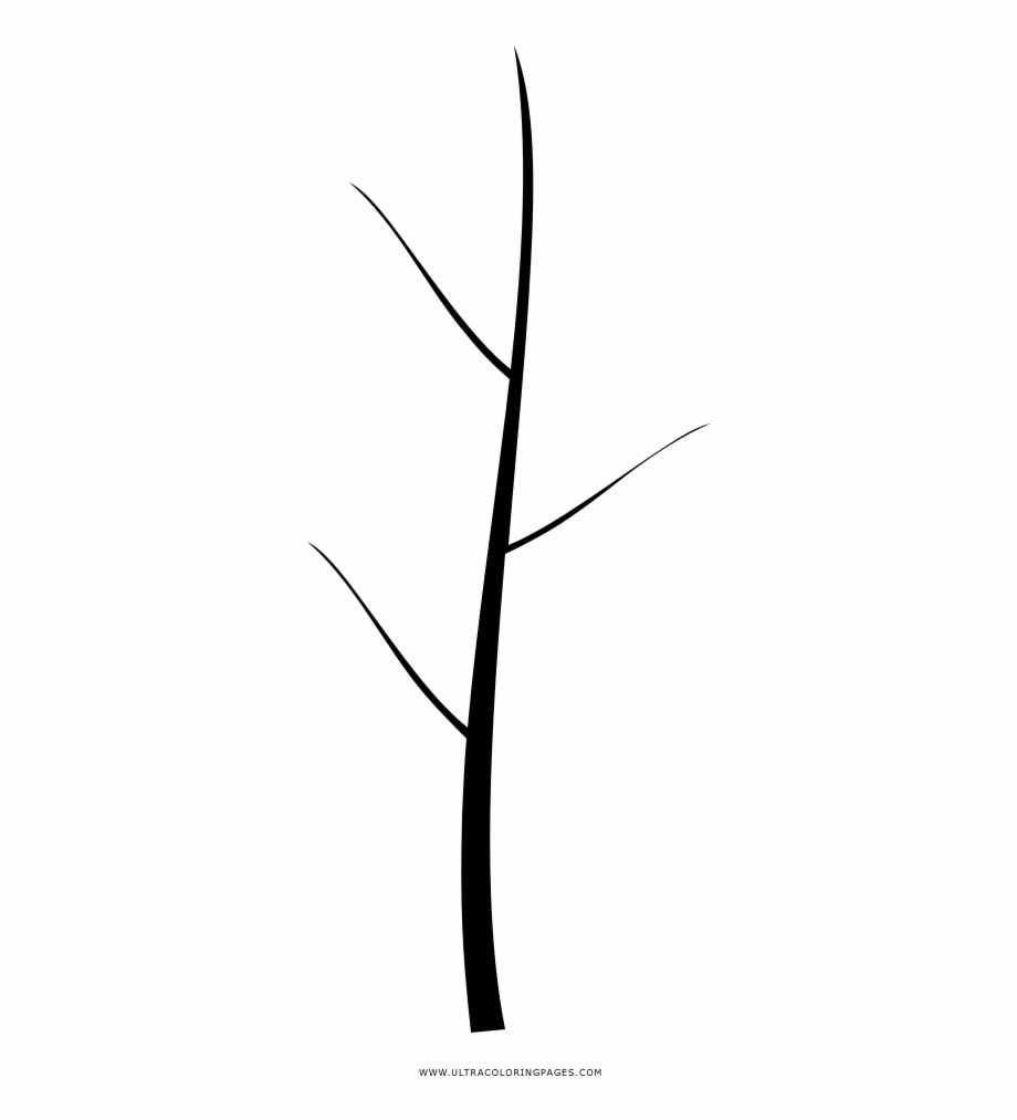 Bare Tree Coloring Page Line Art