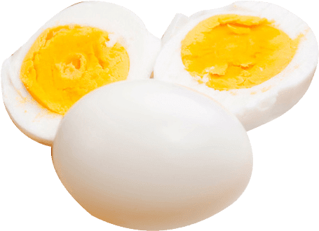 Boiled Egg Egg White Fried Egg