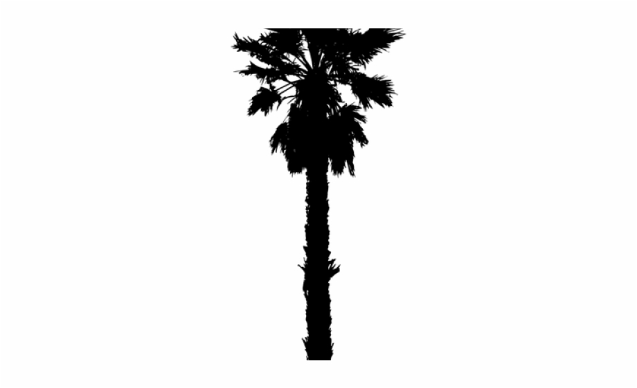 California Palm Tree Silhouette
