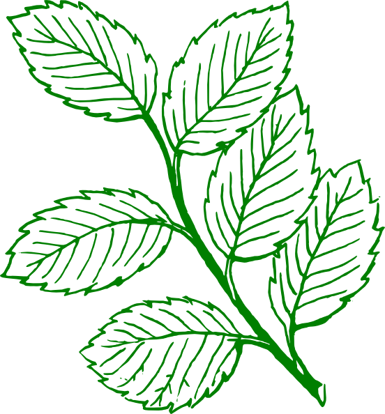 Clipart Leaves Vector Leaves Black And White