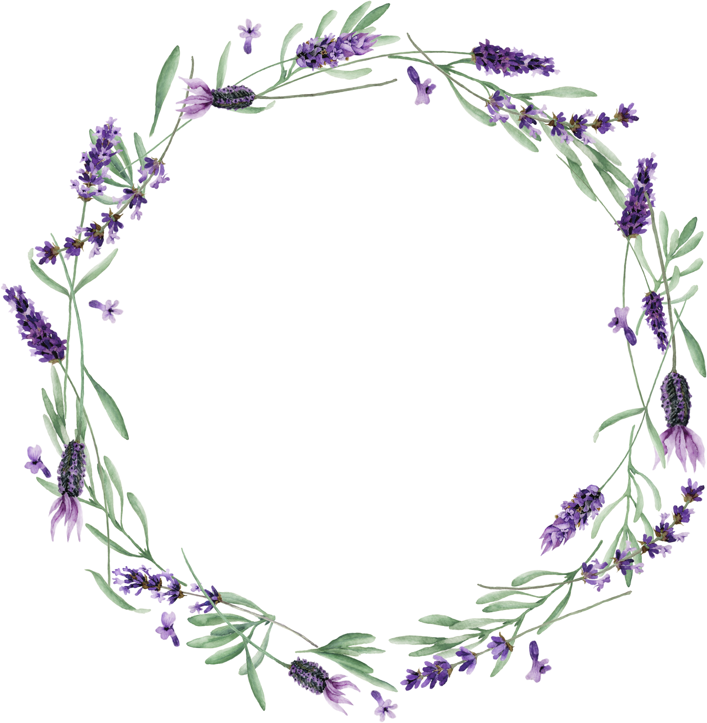 Lavendar Wreath Transparent Png Download Lavender