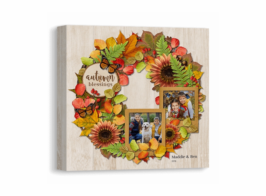 Colors Of Autumn Greeting Card
