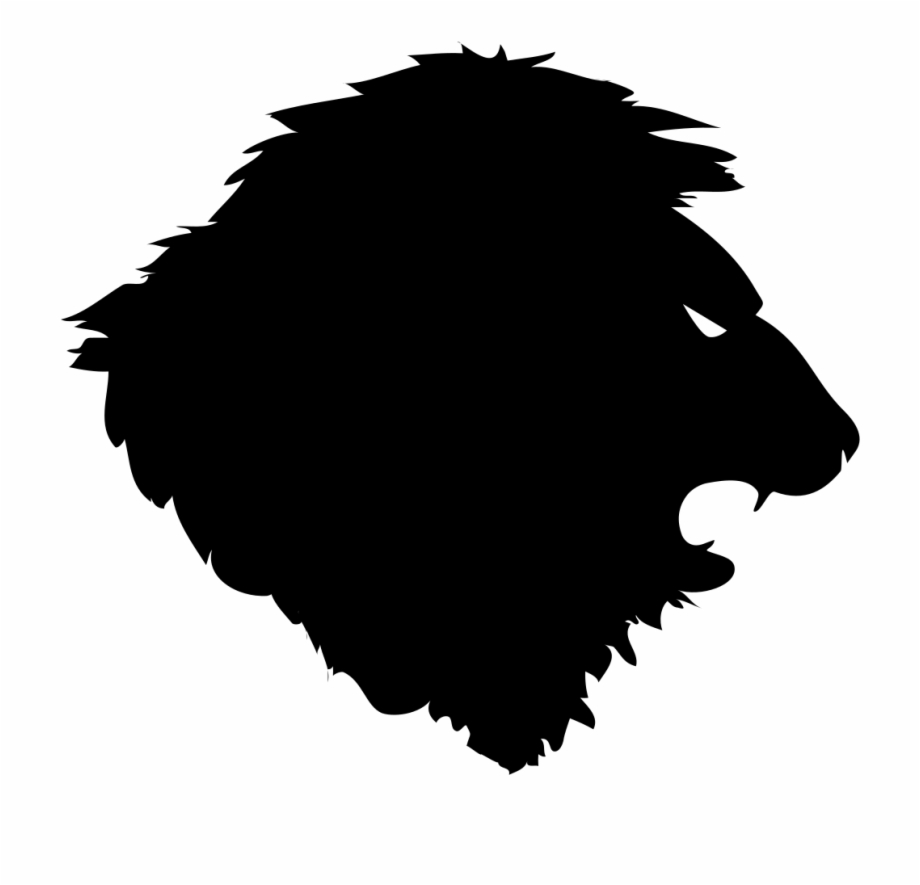 The Lion Illustration