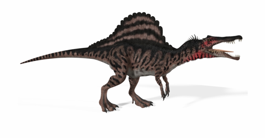 T Rex Spinosaurus Dinosaurs Png Download Spinosaurus Aegyptiacus