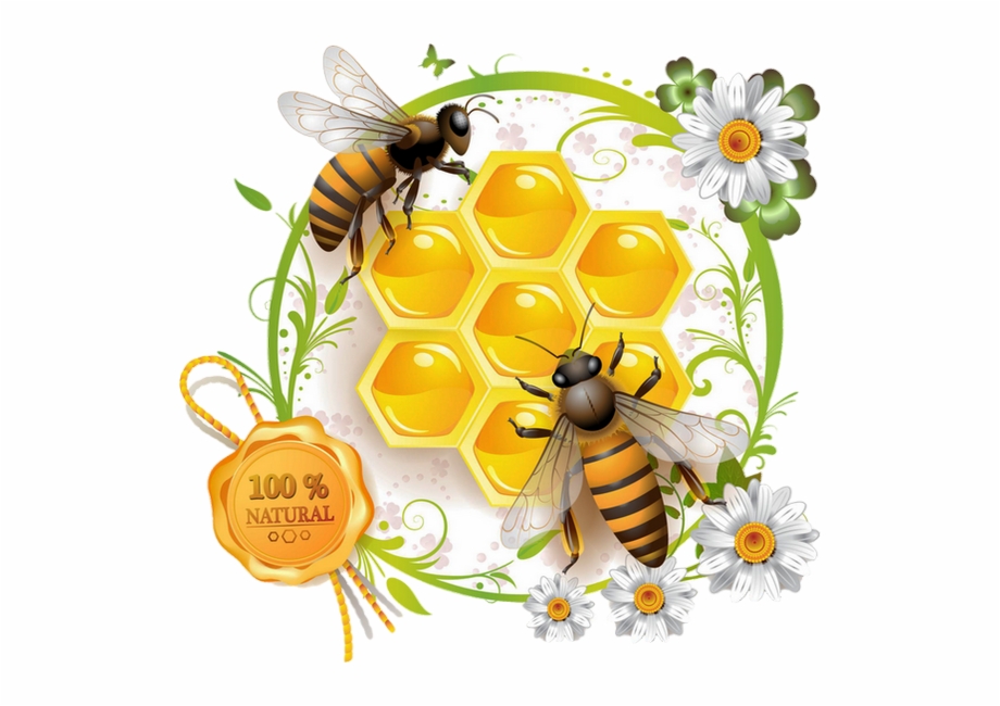 Label Honey Bee Vector