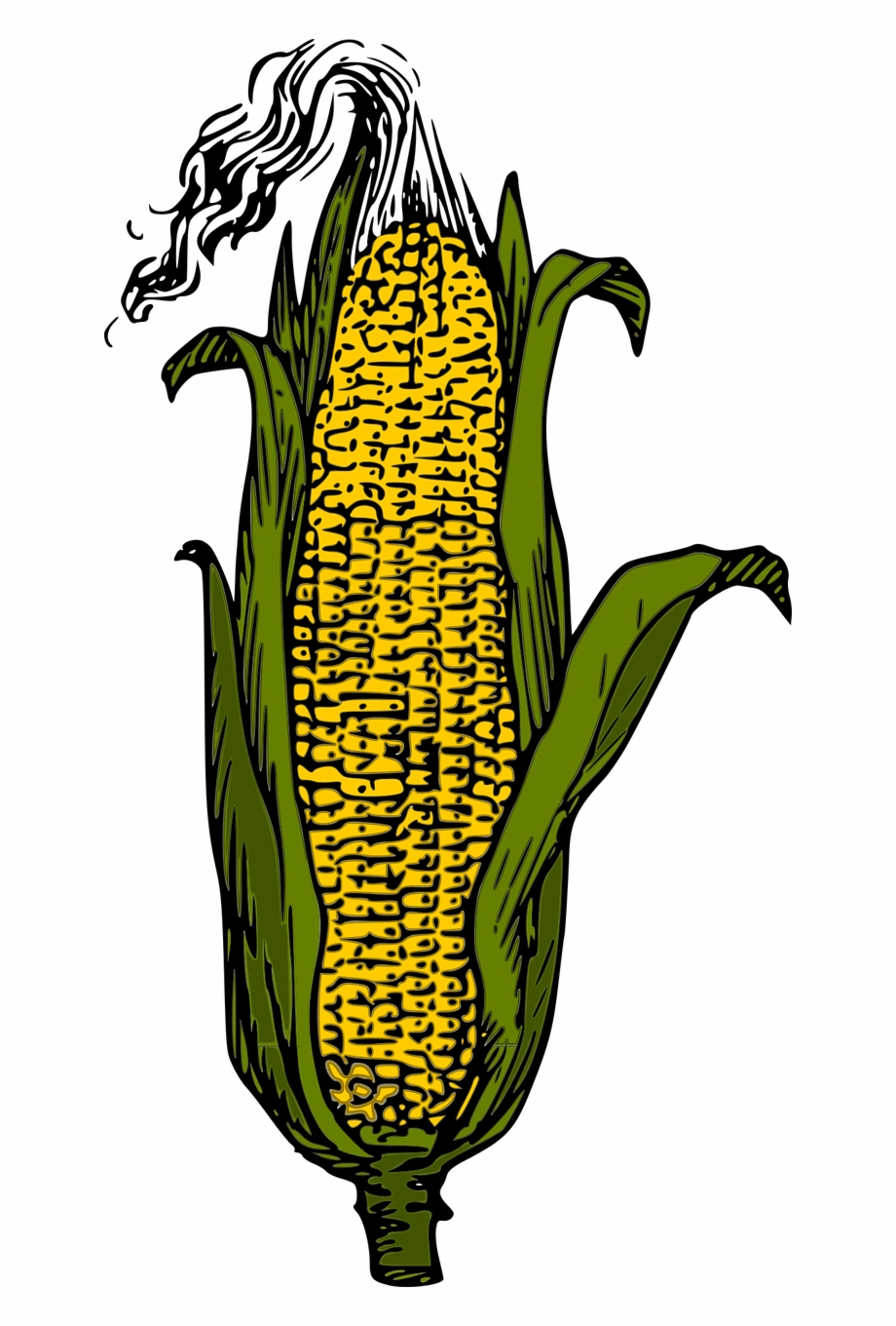 Corn Vegetables Food Corn Clip Art