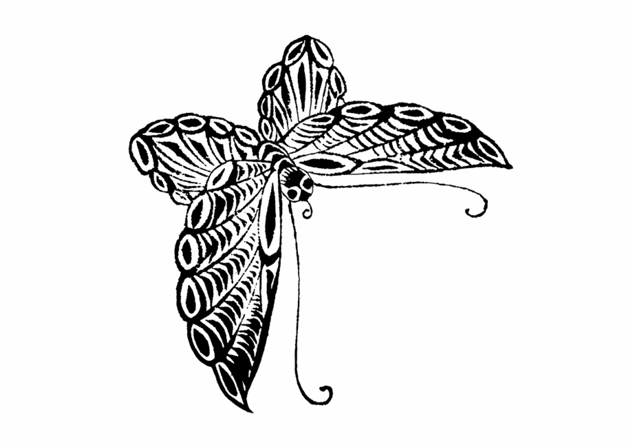 Butterfly Sketch Japanese Leaves Png Sketches