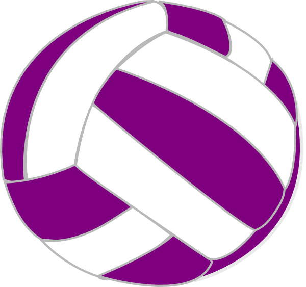 Purple And White Volleyball