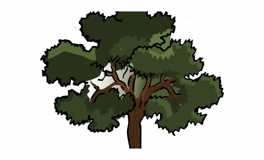 Tree Cartoon Png Angle Of Elevation And Depression
