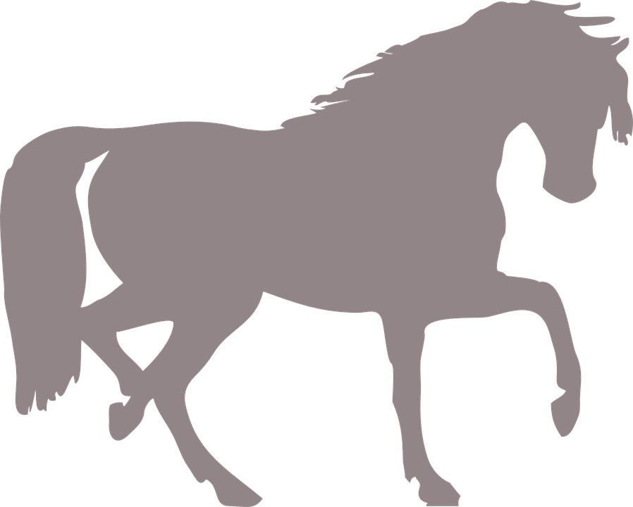 Silhueta Cavalo Png Horse Silhouette Clip Art