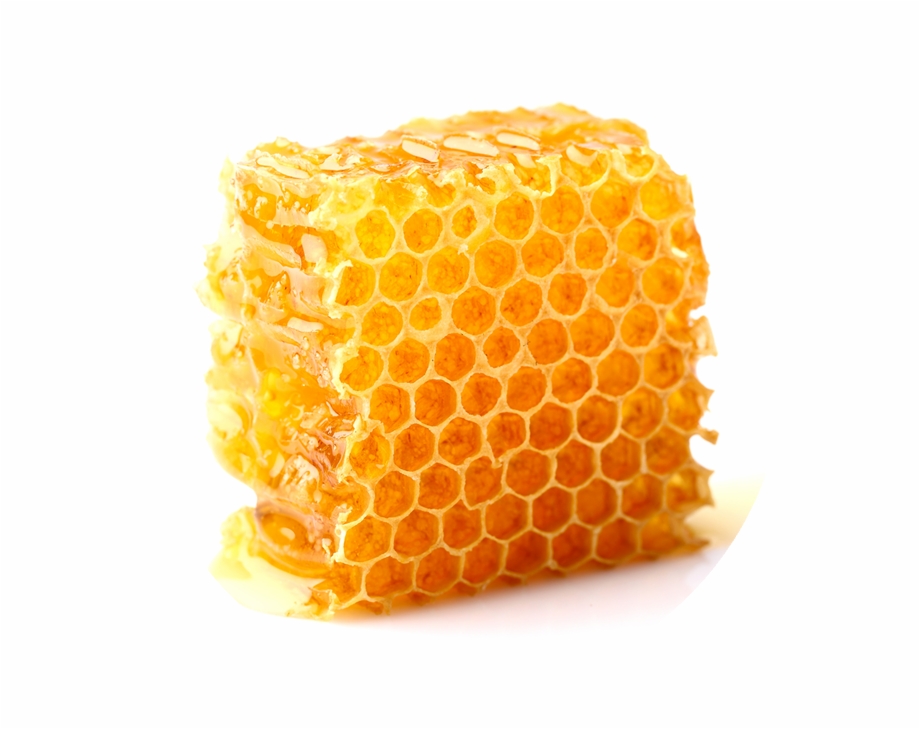 Clip Arts Related To : Honey bee Honeycomb Beehive - bee png download - 888...
