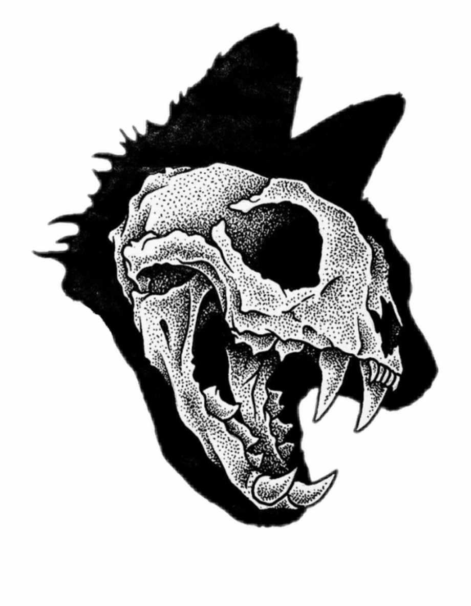 Cat Skull Download Free Clipart With A Transparent