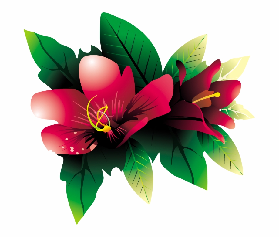 Tropical Flower Hq Png By Briellefantasy Pluspng Transparent