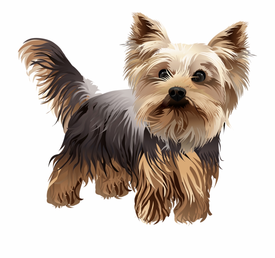 Free Yorkie Clipart Black And White, Download Free Yorkie Clipart Black
