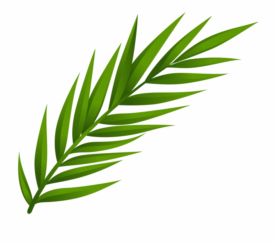 Leaves Clipart Png