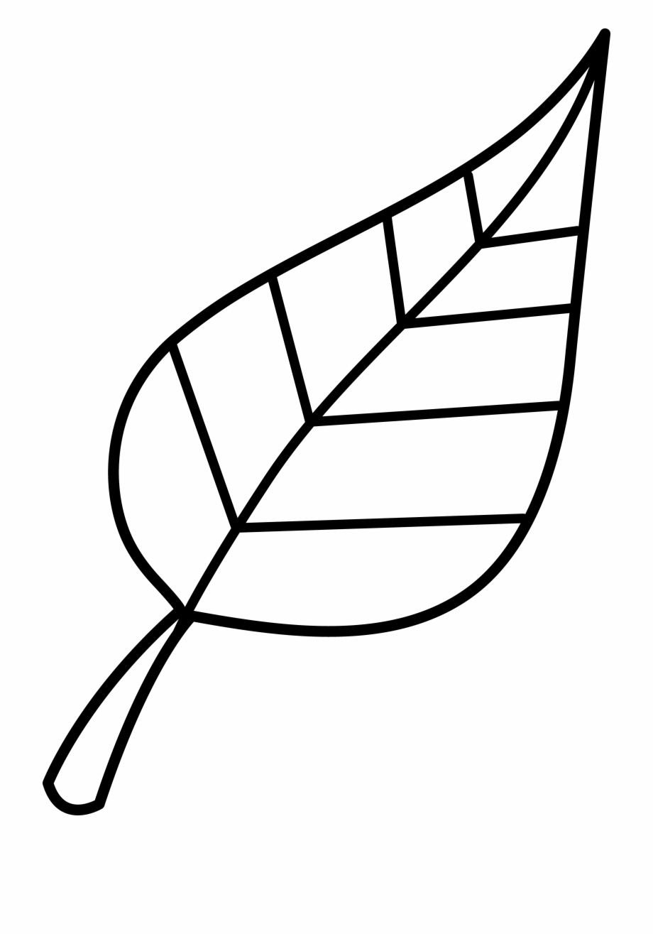 Leaf Fall Leaves Clip Art Black And White