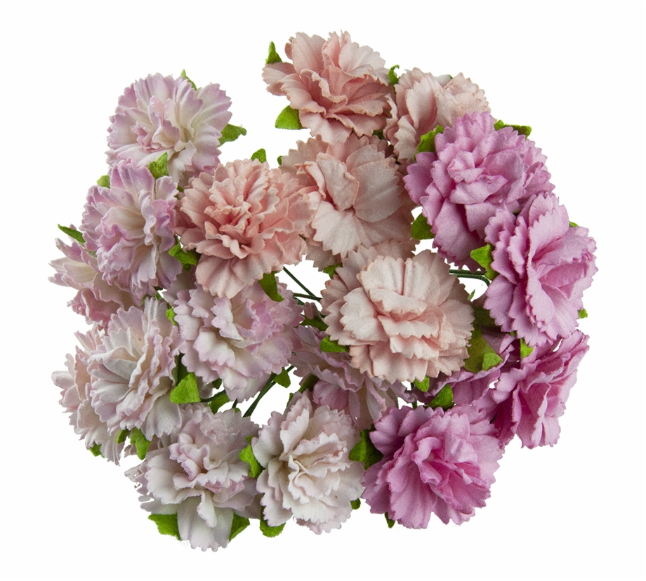 20 Mixed Pink Mulberry Paper Carnation Flowers Godziki