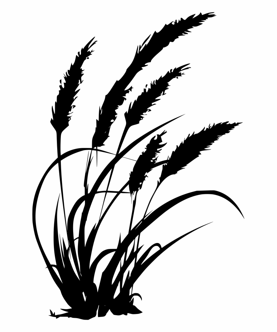 Download Png Black And White Wheat Grass Clipart