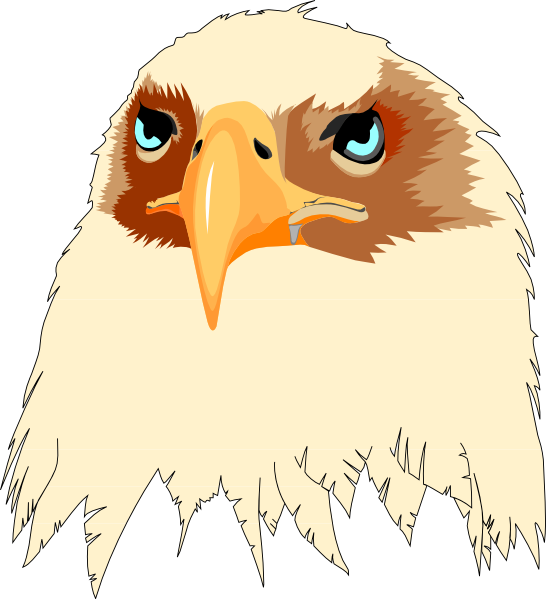 How To Set Use Tan Feathered Eagle Head
