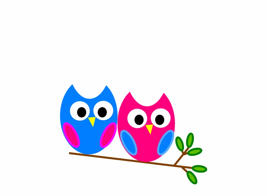 Pink And Blue Owl