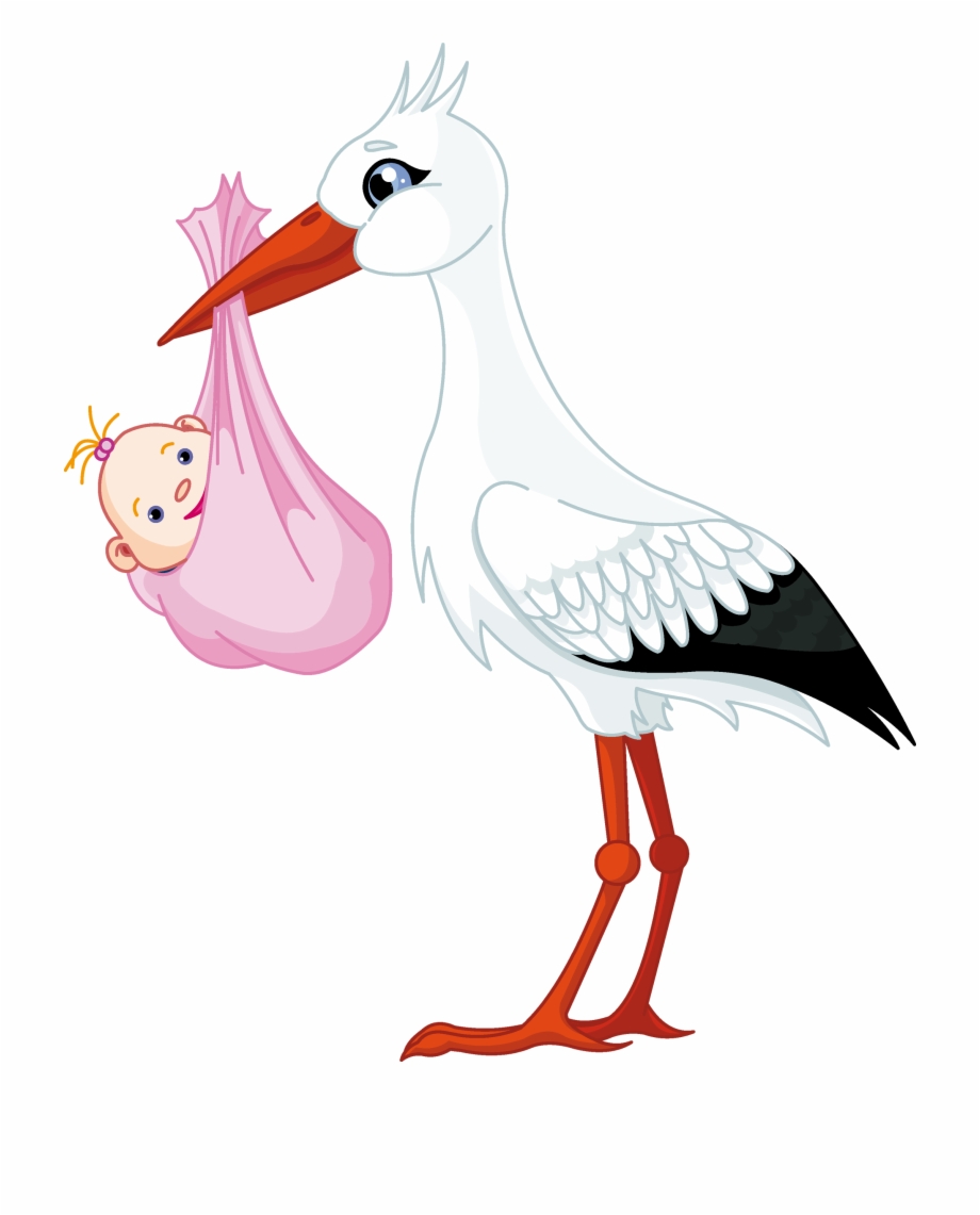 pink and blue stork
